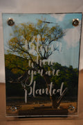 5x7 Lake Tree w/ Bloom Where You're Planted Overlay
