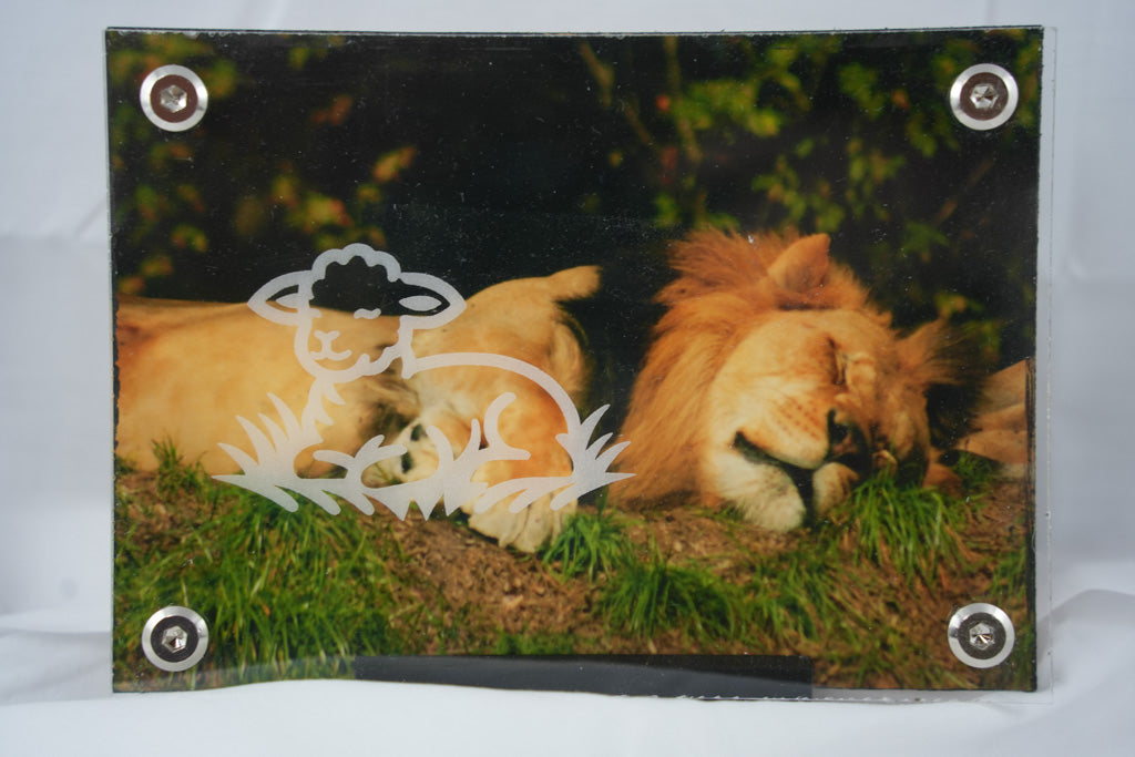 5X7 Sleeping Lion w/ Lamb Overlay