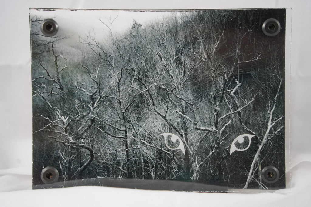 5x7 Forest w/ Eyes Overlay