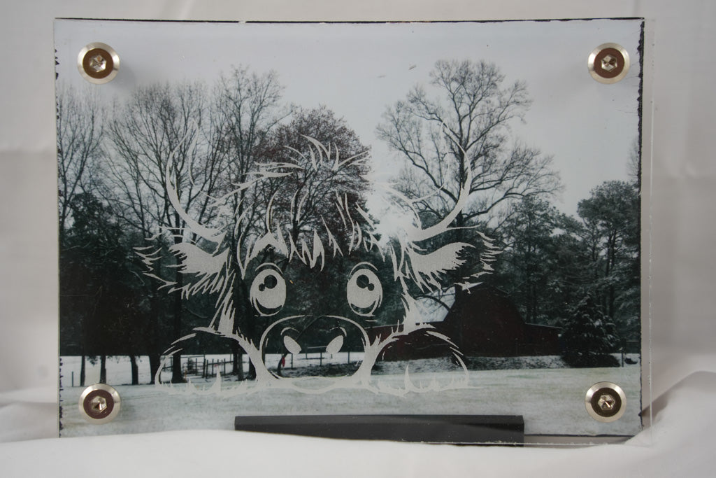 5x7 Snowy Barn w/ Highland Cow Overlay