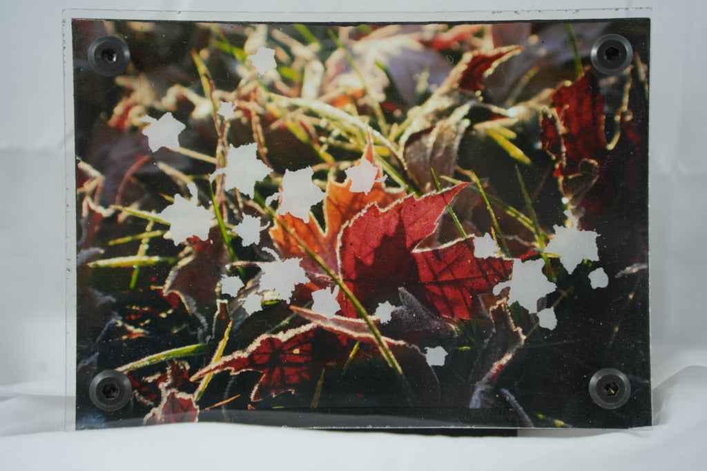 5x7 Frosted Leaves w/ Blowing Leaves Overlay